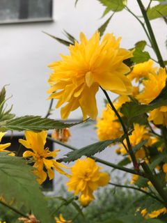 Foto von Kellner Heidi entlang der Tour