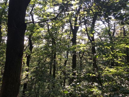 Photo de Christian Kakuska le long du parcours