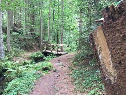 Fotografija s spletne strani Ralf Umminger na poti