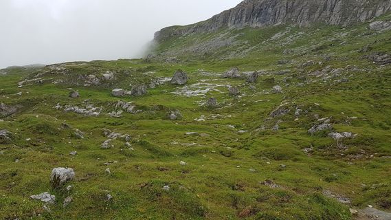 Foto von Tor Fich entlang der Tour
