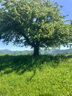 Foto von Kellner Heidi entlang der Tour