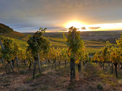Foto van Norbert Herbig langs de tour