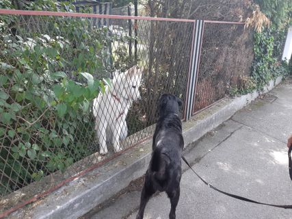 Foto de mmecki a lo largo del recorrido