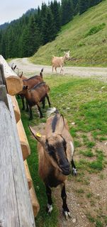 Foto von Tobias Koch 1 entlang der Tour