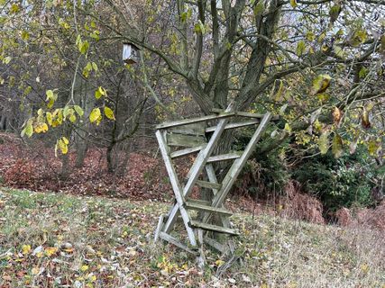 Fotografia z Norbert Herbig na trase