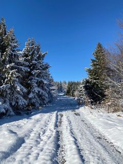 Fotografie z Mario Klauser na trase