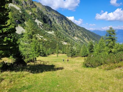 Fotografia z schenkeli na trase