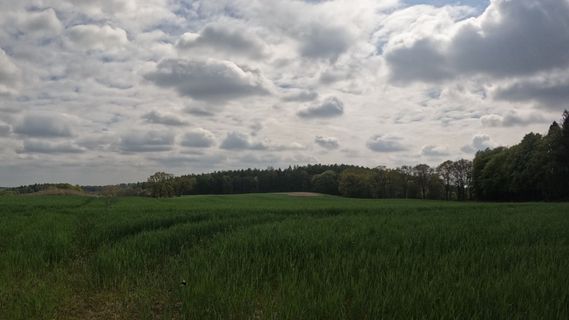Fotografia z Bernd Schmitt na trase