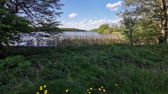 Foto de Bernd Schmitt a lo largo del recorrido