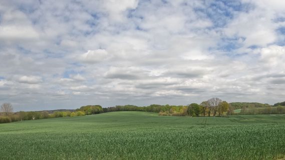 Fotografia z Bernd Schmitt na trase