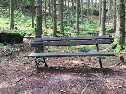 Zdjęcie z A wzdłuż trasy