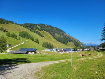 Foto von mmecki entlang der Tour