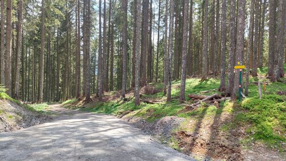 Foto von SeppWinter entlang der Tour