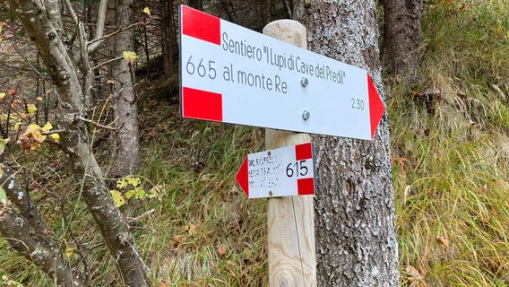 Foto von Dietmar Grilz entlang der Tour