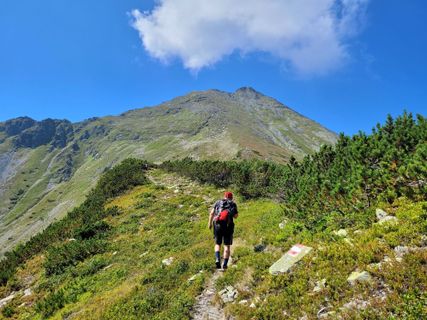 Fotografia z schenkeli na trase