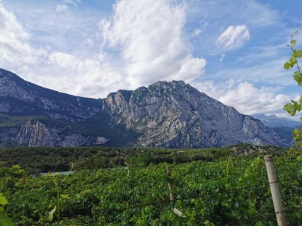 Fotografija s spletne strani Hari Schrittwieser na poti