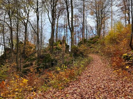 Foto de Norbert Herbig a lo largo del recorrido