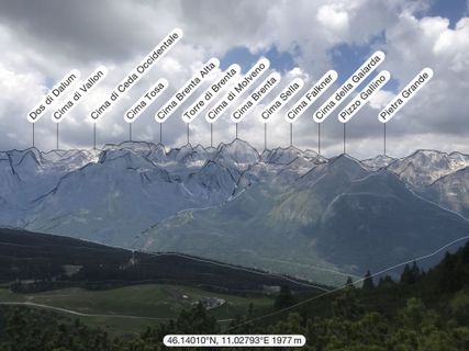 Photo de Heikoala le long du parcours