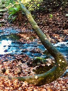 Foto de Kellner Heidi a lo largo del recorrido