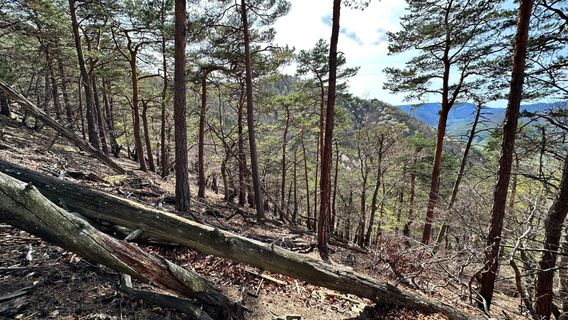Photo de Hwg_3013 le long du parcours