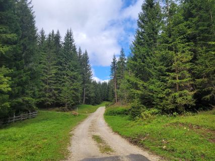 Fotografija s spletne strani mmecki na poti