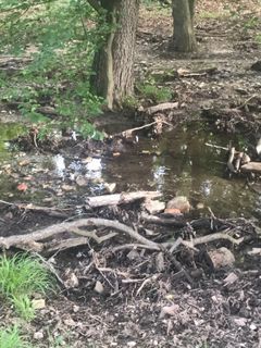 Foto de Kellner Heidi a lo largo del recorrido