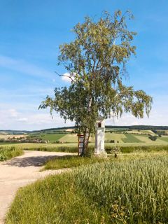 Foto von Kellner Heidi entlang der Tour
