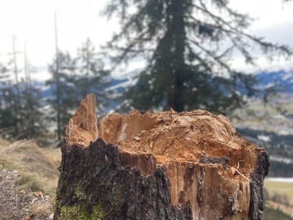 Foto von pedaklaus entlang der Tour