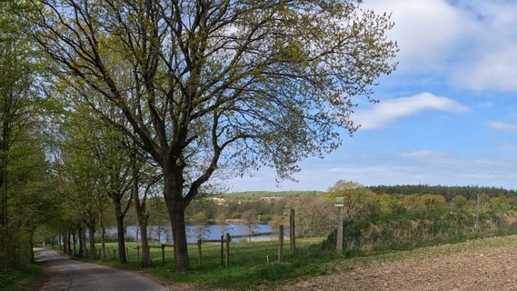Foto de Bernd Schmitt a lo largo del recorrido
