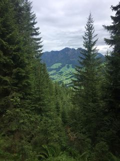 Foto von Ralf Umminger entlang der Tour