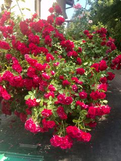 Fotografie z Kellner Heidi na trase