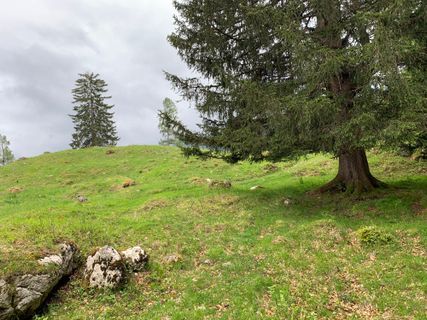 Fotó a Miriam honlapról a túra során