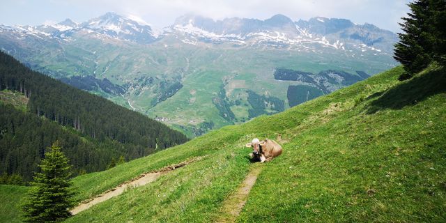 Zdjęcie z Claudia wzdłuż trasy