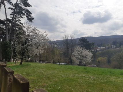 Foto von mmecki entlang der Tour