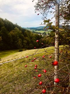 Foto von Kellner Heidi entlang der Tour