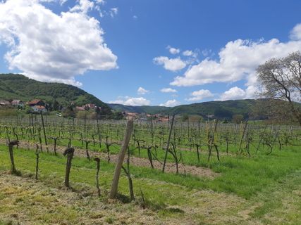 Foto von mmecki entlang der Tour