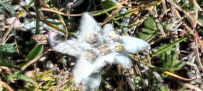 Fotografija s spletne strani Gabriele Cucchi na poti