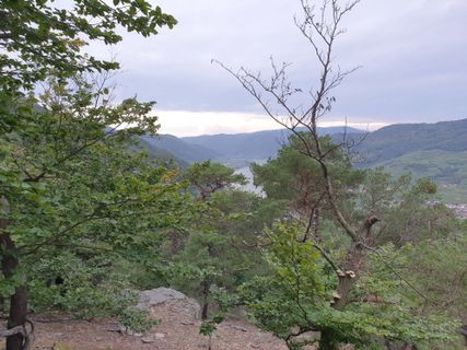 Photo de Tamara Schwarz 2 le long du parcours