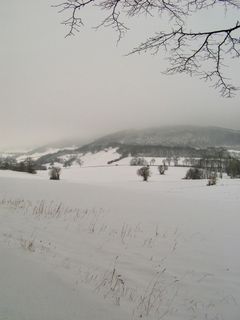 Foto von Kellner Heidi entlang der Tour