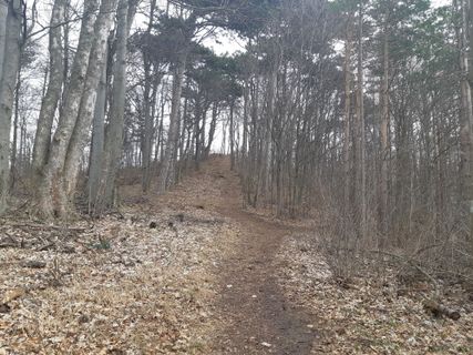 Foto de mmecki a lo largo del recorrido