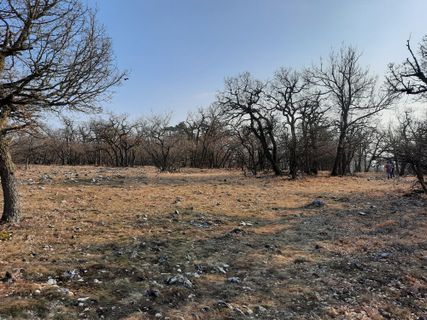 Fotografie z Ferenc Kiss na trase