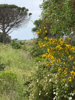 Photo de Tanja Wiese le long du parcours