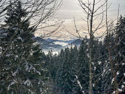 Photo de Norbert Herbig le long du parcours