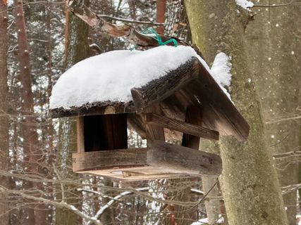 Photo de Norbert Herbig le long du parcours