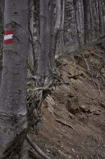 Zdjęcie z Kellner Heidi wzdłuż trasy