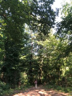 Photo de Christian Kakuska le long du parcours