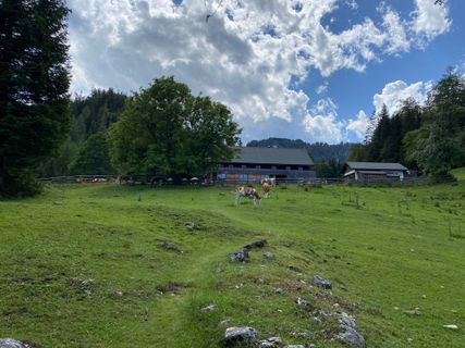 Foto von Christoph Pohanka entlang der Tour