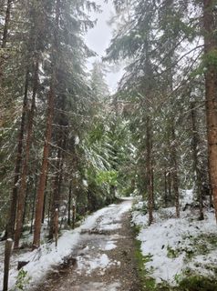 Foto da mmecki lungo il tour