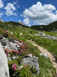 Fotografija s spletne strani Michael Bauer na poti