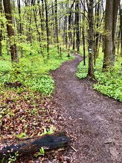 Fotografia z Kellner Heidi na trase